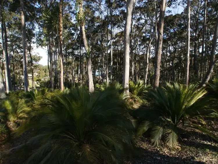 Fifth view of Homely land listing, (Lot 5) 10 Gibraltar Way, Long Beach NSW 2536