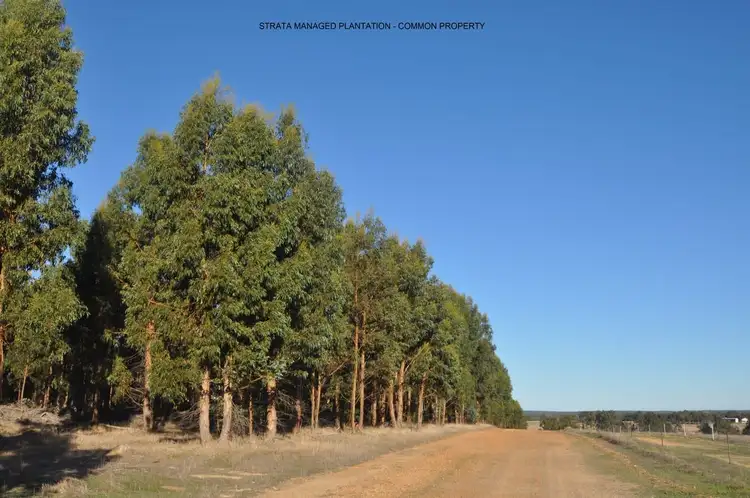 Fourth view of Homely land listing, 29 Gittinsmill Close, Frankland River WA 6396