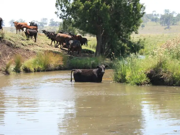 Second view of Homely rural property listing, Lots 3 5 6 Cullendore Road, Warwick QLD 4370