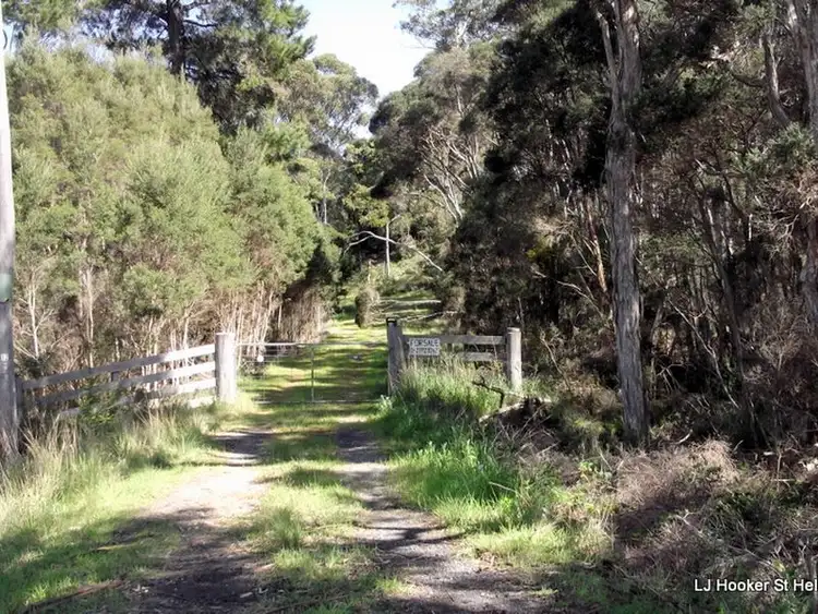 Seventh view of Homely land listing, 46 Tasman Highway, St Helens TAS 7216