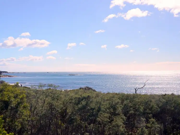 Sixth view of Homely house listing, 119 Harveys Farm Road, Bicheno TAS 7215