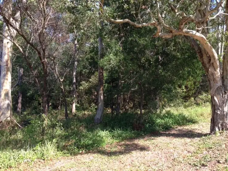 Third view of Homely land listing, 163 Kate Street, Macleay Island QLD 4184