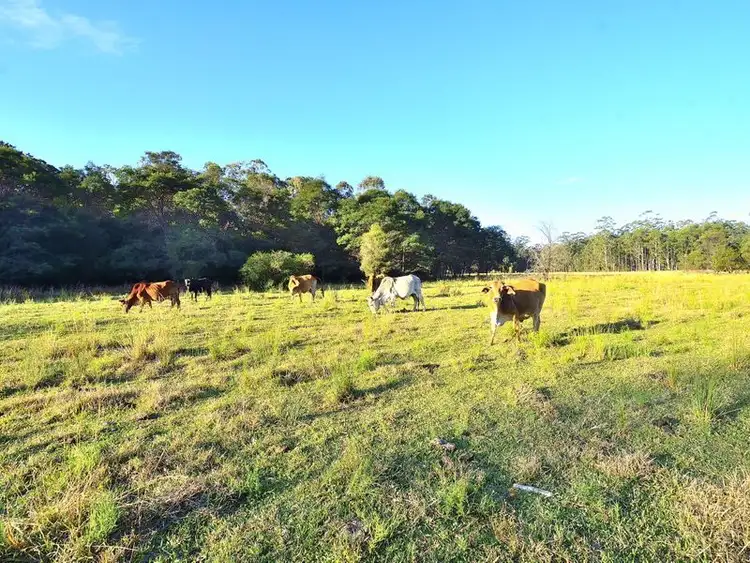 Seventh view of Homely rural property listing, Chain 'O' Ponds Road, Collombatti NSW 2440