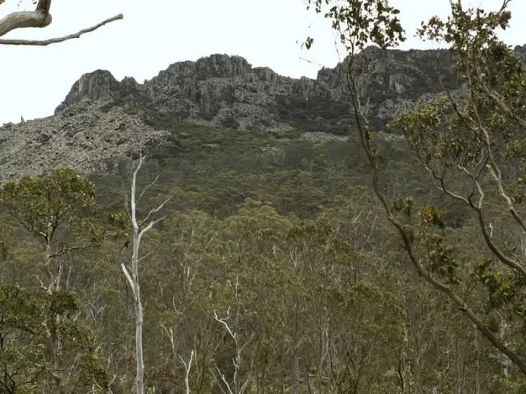 Fourth view of Homely rural property listing, Schulhofs Road, Blessington TAS 7212