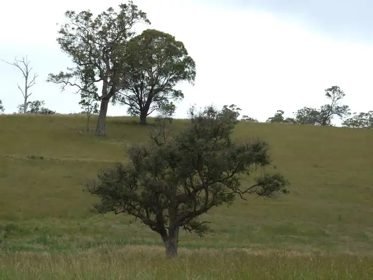 Fifth view of Homely land listing, Lot 11 Newlyns Estate, Bega NSW 2550