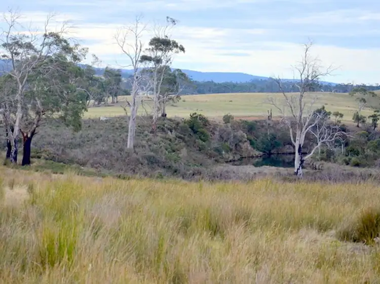 Third view of Homely land listing, 10220 Tasman Highway, Little Swanport TAS 7190