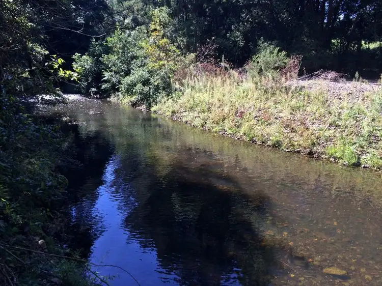 Fourth view of Homely rural property listing, Address available on request