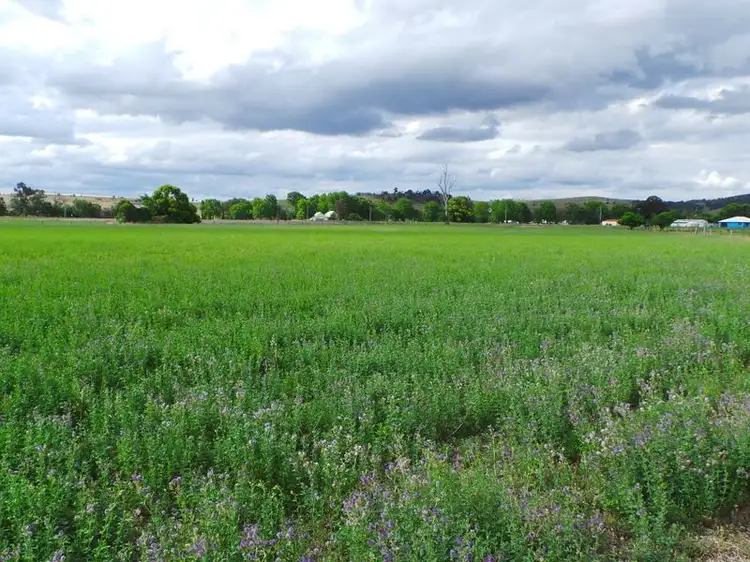Fifth view of Homely rural property listing, 1 Plane Street, Tannymorel QLD 4372