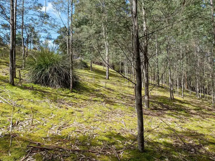 Fourth view of Homely land listing, 231 Cripps Road, Woodbridge TAS 7162