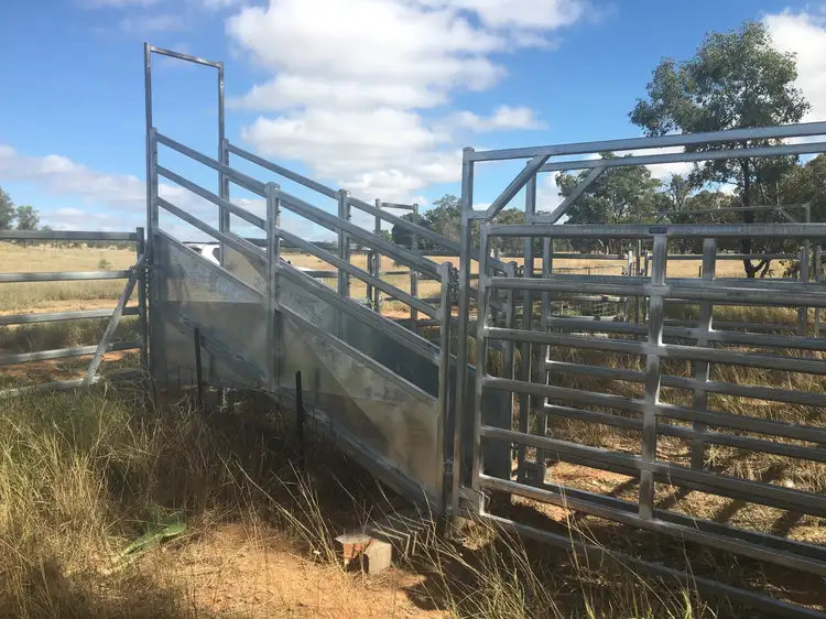 Second view of Homely rural property listing, 407 Lanreef Road, Roma QLD 4455