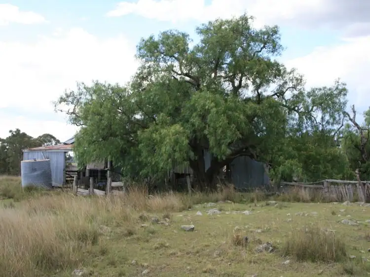 Fifth view of Homely rural property listing, Lot 239 Mt Janet Road Dalveen via, Warwick QLD 4370