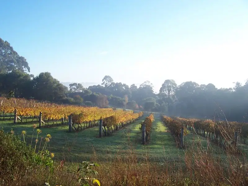 Main view of Homely land listing, 11891 Conte Road, Pemberton WA 6260