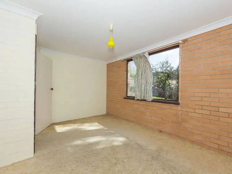 Seventh view of Homely house listing, 24 Cook Avenue, Surf Beach NSW 2536