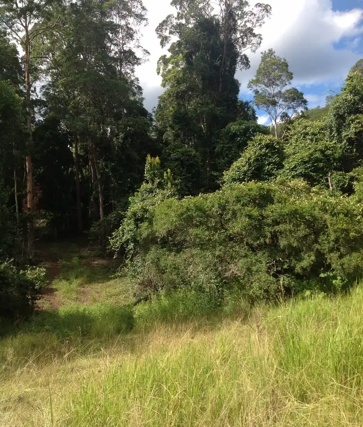Sixth view of Homely land listing, 48 Kerriki Forest Road, Wingham NSW 2429