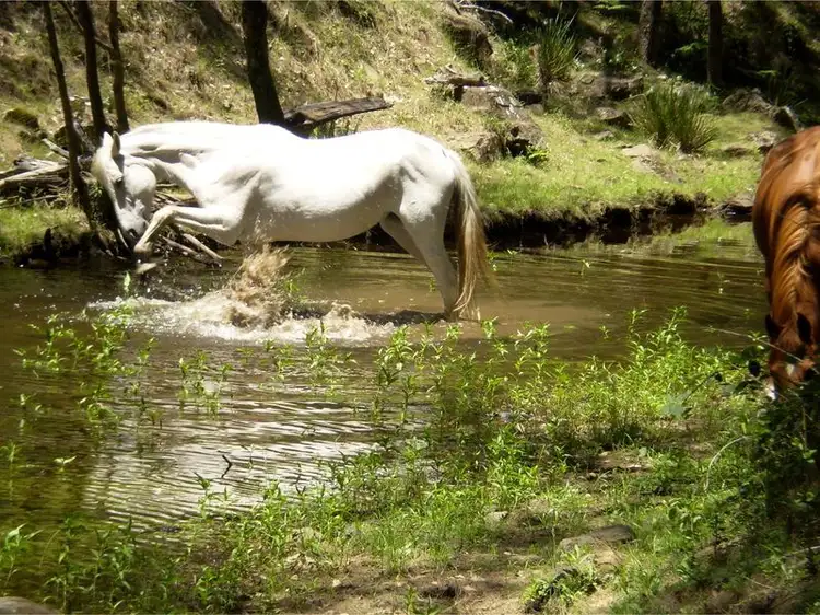 Second view of Homely rural property listing, 10 Top Swanfells Road, Swanfels QLD 4371