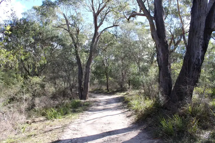 Seventh view of Homely land listing, 141 Bourkes Road, Yowrie NSW 2550