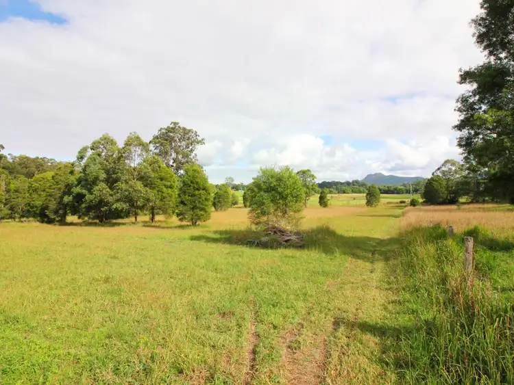 Second view of Homely rural property listing, 176 Hogans Road, Lansdowne NSW 2430