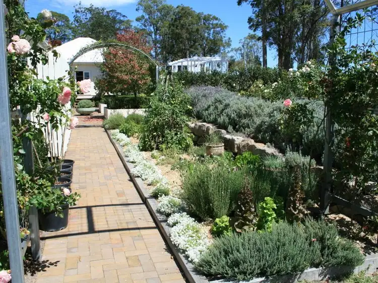 Seventh view of Homely rural property listing, Lot 23 & 1 Blue Pines Mt Lindesay Road, Liston NSW 2372
