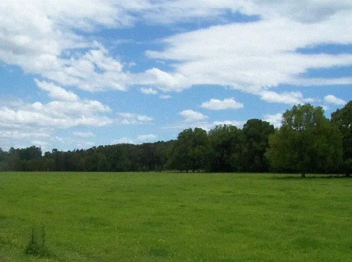 Fifth view of Homely house listing, 95 East Street, Macksville NSW 2447
