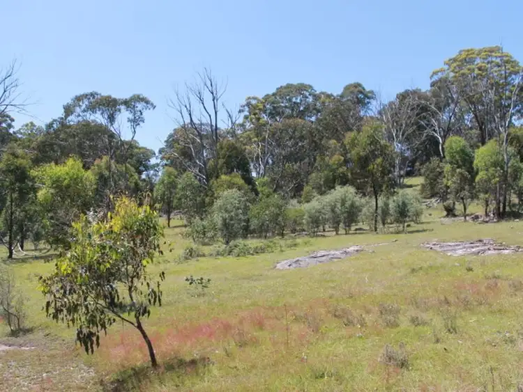 Fourth view of Homely rural property listing, Lot 1 Catarrh Creek Road, Torrington NSW 2371