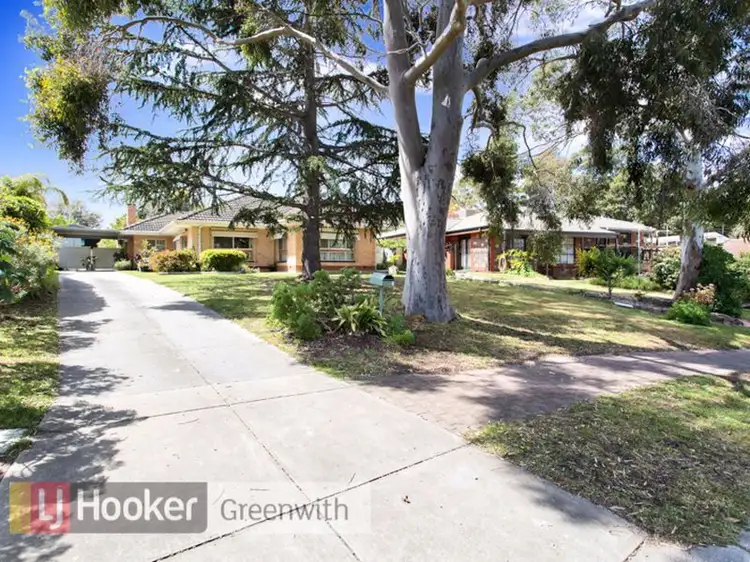 Main view of Homely house listing, 7 Grove Street, Modbury SA 5092