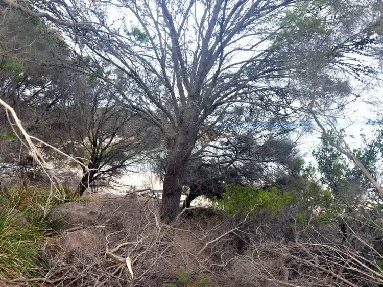 Third view of Homely land listing, 426 Freycinet Drive, Coles Bay TAS 7215