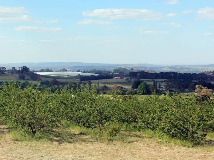 Main view of Homely rural property listing, Sunnycrest Wallace Lane, Orange NSW 2800