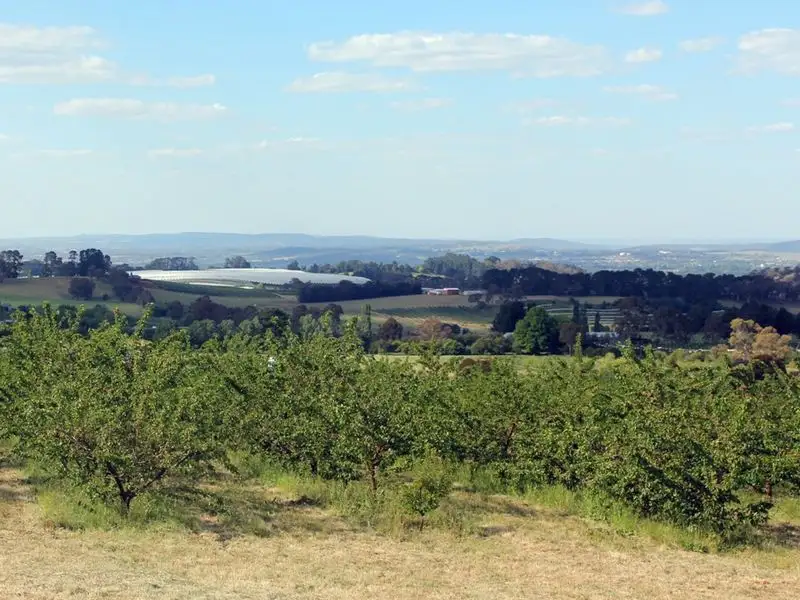 Main view of Homely rural property listing, Sunnycrest Wallace Lane, Orange NSW 2800