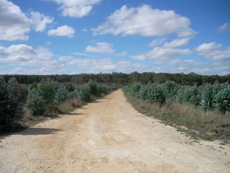 Main view of Homely rural property listing, Border Lane, Strathdownie VIC 3312