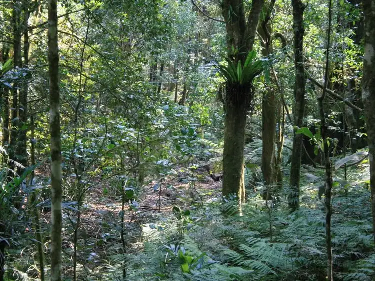 Sixth view of Homely rural property listing, Lot 73 Gambubal Road, Clintonvale QLD 4370