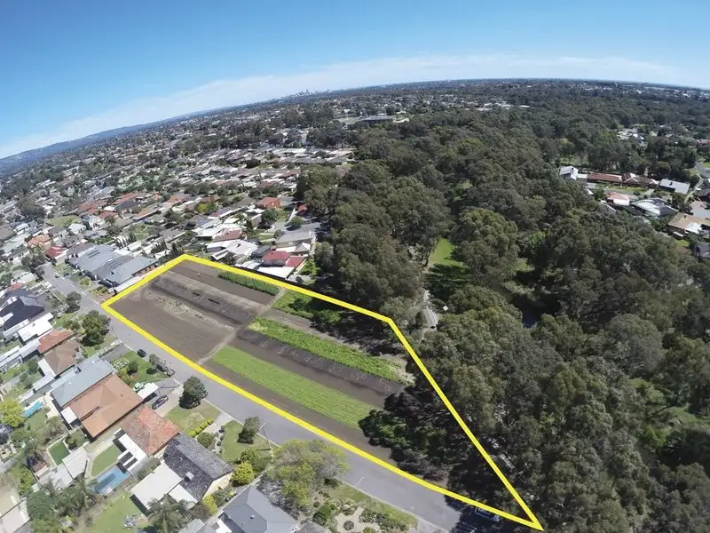 Main view of Homely land listing, 12 Lamary Avenue, Paradise SA 5075