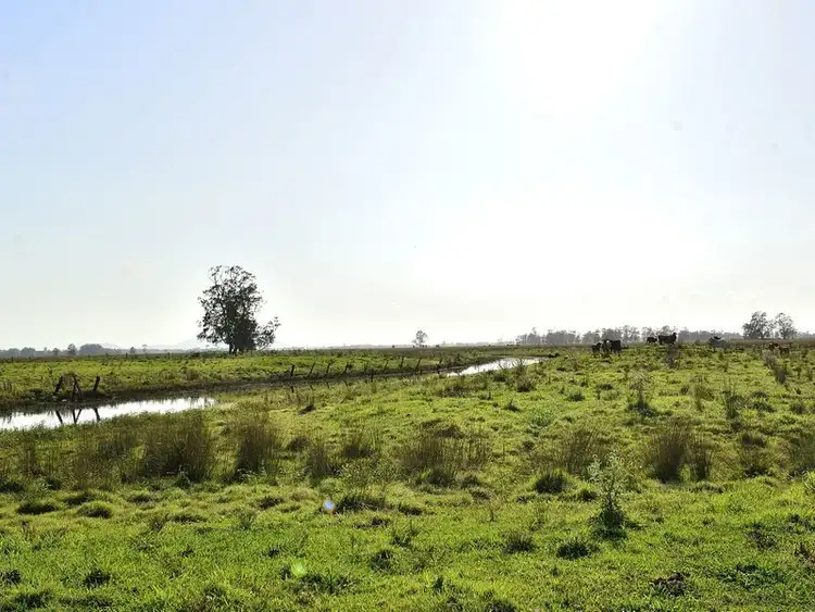 Seventh view of Homely rural property listing, Lots 175 & Syd Sutherlands Lane, Aldavilla NSW 2440