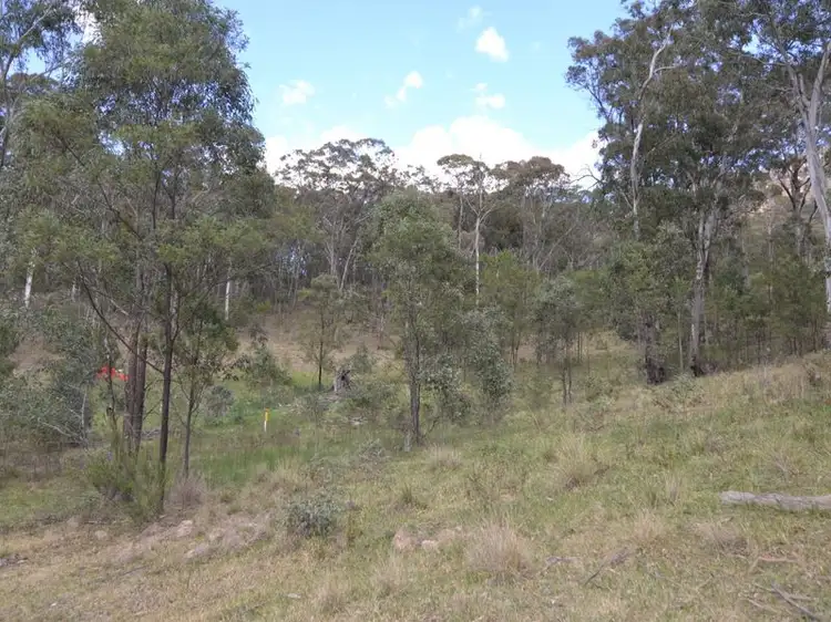 Fifth view of Homely rural property listing, 1251 Wolgan Road, Ben Bullen NSW 2790