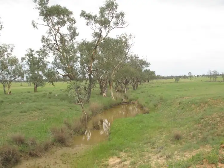 Fourth view of Homely rural property listing, Mt Abundance Road, Roma QLD 4455