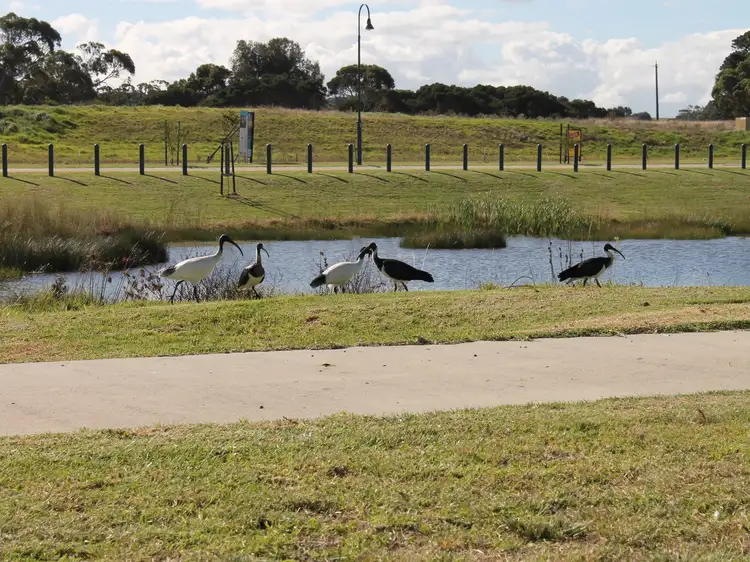 Second view of Homely land listing, Lot 96 Radiata Place, Inverloch VIC 3996