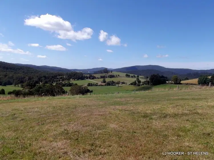 Fifth view of Homely land listing, 310 Lottah Road, Goulds Country TAS 7216
