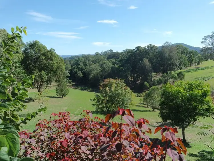 Third view of Homely house listing, 3 Felton Place, Wingham NSW 2429