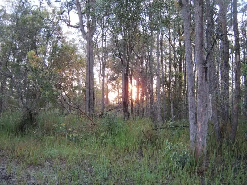 Main view of Homely rural property listing, 60 Florda Gold Drive, Wells Crossing NSW 2460