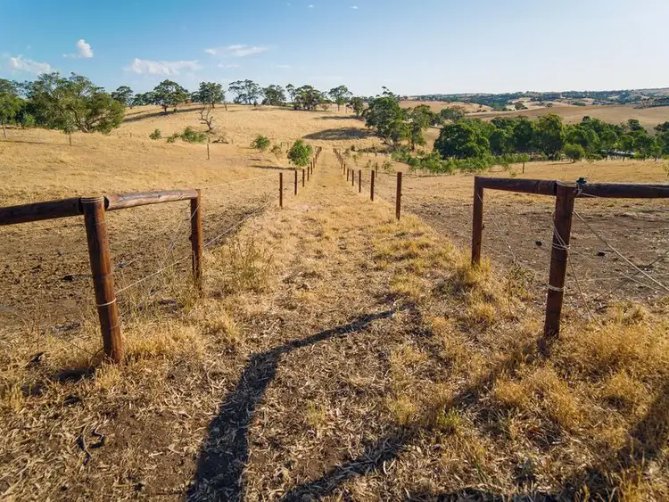 Seventh view of Homely rural property listing, 147E The Glen Road, Harrogate SA 5244