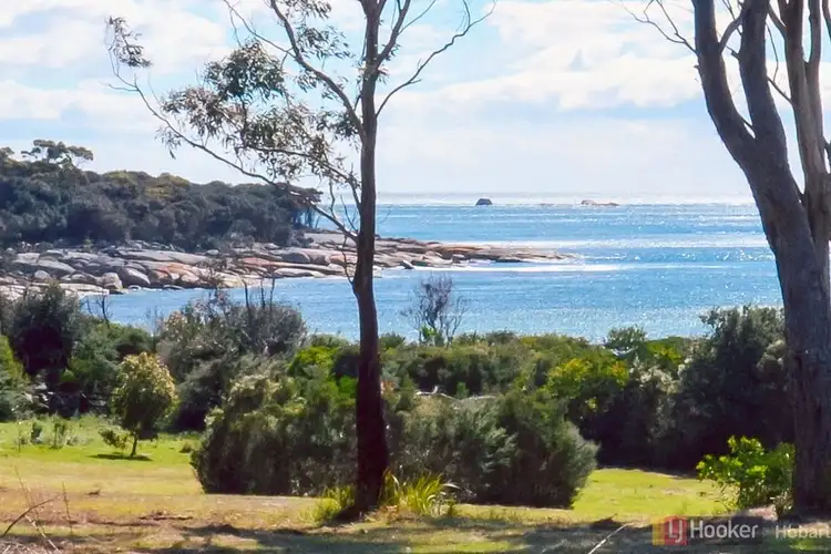 Second view of Homely rural property listing, 119 Harveys Farm Road, Bicheno TAS 7215