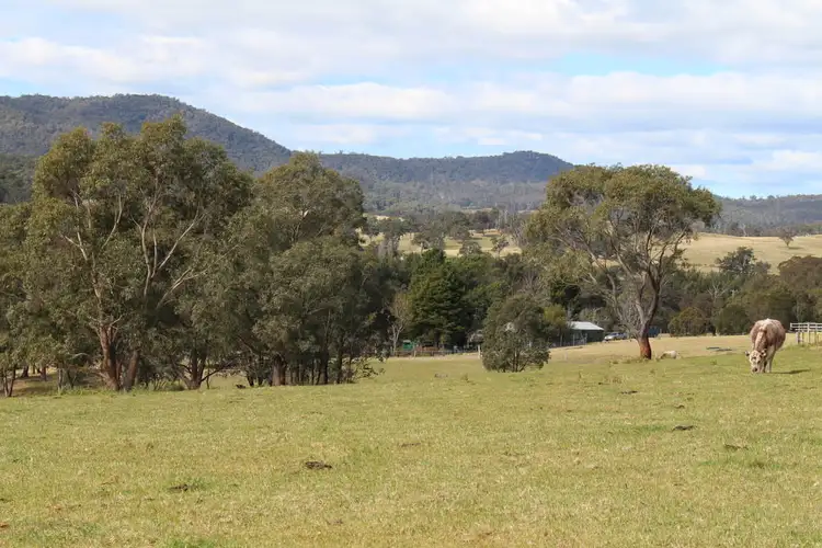 Fourth view of Homely land listing, 141 Bourkes Road, Yowrie NSW 2550