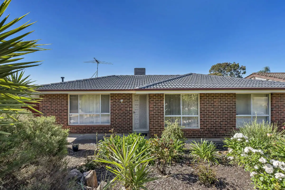 Main view of Homely house listing, 24 Casuarina Avenue, Surrey Downs SA 5126