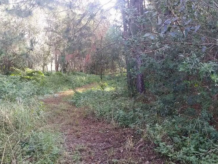 Sixth view of Homely rural property listing, 405 Old Cleveland Road East (Tom Place), Birkdale QLD 4159