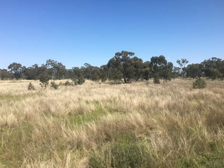 Third view of Homely rural property listing, 2175 Gunnawarra Road, Mitchell QLD 4465