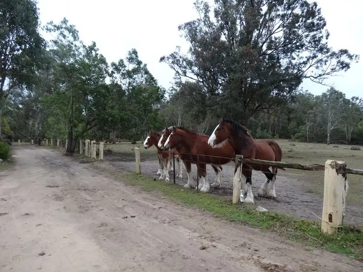 Second view of Homely rural property listing, 232 Back Creek Road, Crows Nest QLD 4355