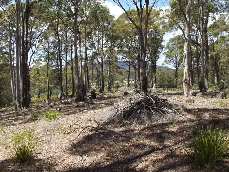 Fifth view of Homely land listing, 1B Cameron Street, St Marys TAS 7215