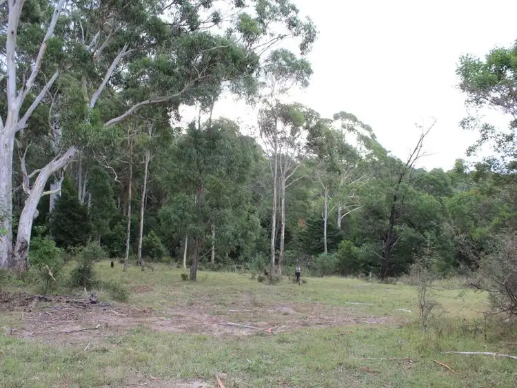 Seventh view of Homely rural property listing, 1086 Furners Road, Bemboka NSW 2550