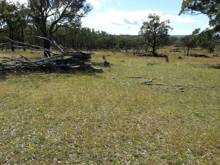 Seventh view of Homely rural property listing, Lot 11 Springdale Road, Stanthorpe QLD 4380