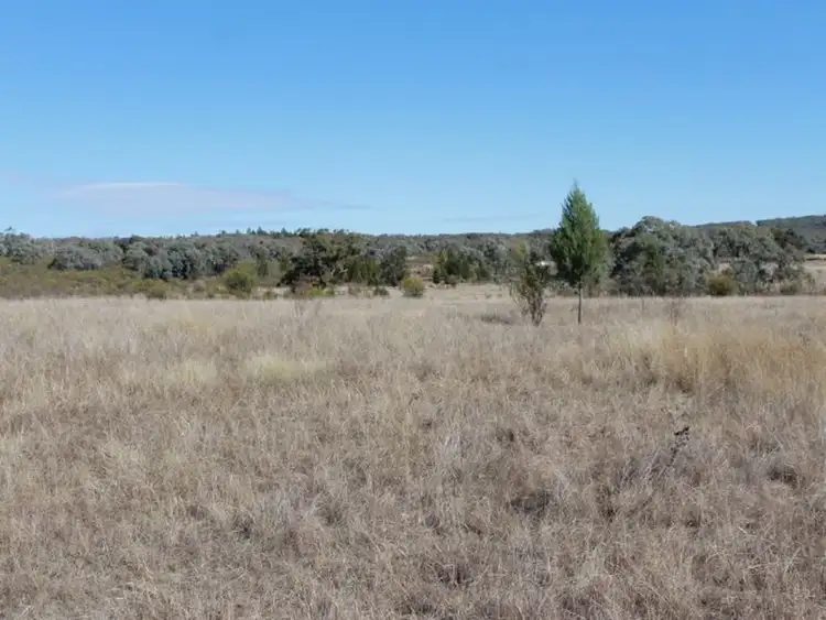 Fourth view of Homely rural property listing, Lot 3 Silent Grove Rd, Torrington NSW 2371