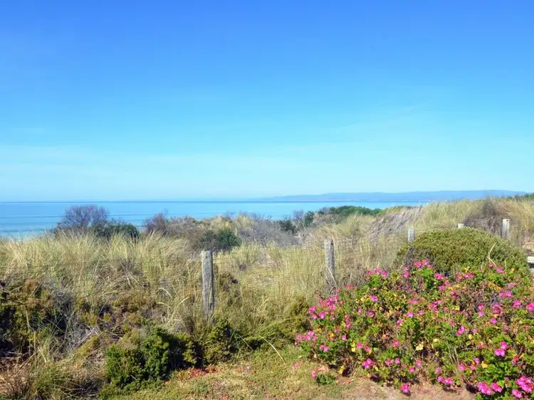 Fourth view of Homely house listing, 1457 Dolphin Sands Road, Dolphin Sands TAS 7190